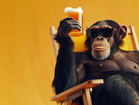Colourful chimpanzee holding a beer wearing shiny sunglasses
